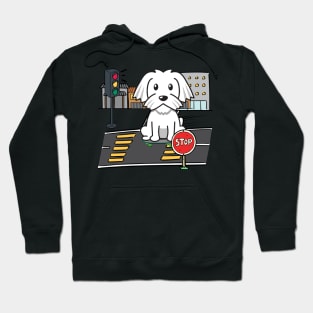 Cute white dog is skate boarding on the street Hoodie